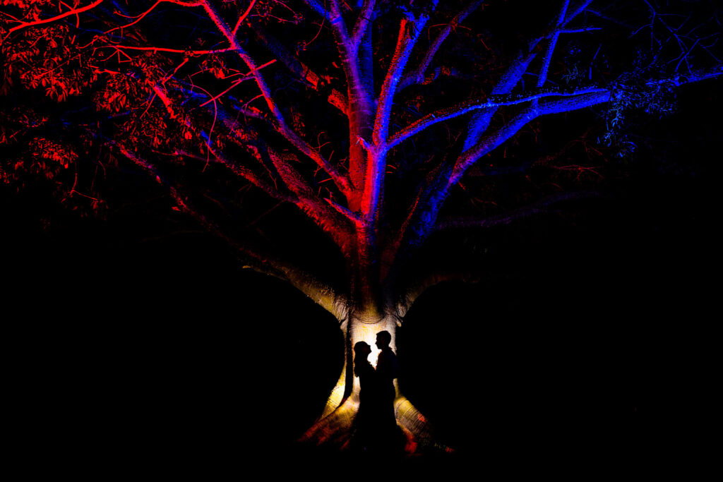 siluette of bride and groom on a three, the three have colors on the leaf